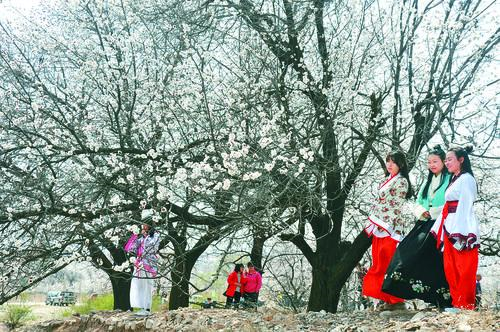 宝彩网app官方正版免费界面预览